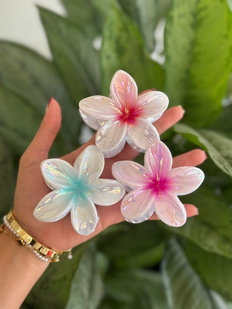 HAWAII TORNASOL