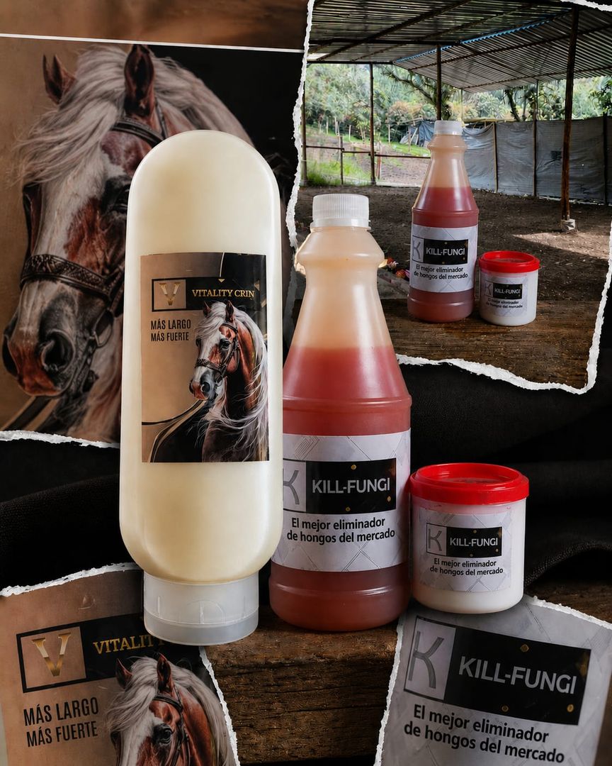 KILL FUNGI  ELIMINADOR HONGOS