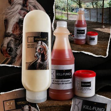 KILL FUNGI  ELIMINADOR HONGOS - imagen 1