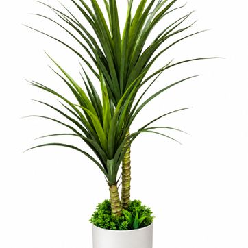 Imagen del producto PALMA AFRICANA X 2  1.10 METROS