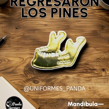 Imagen del producto  PIN MUELITA