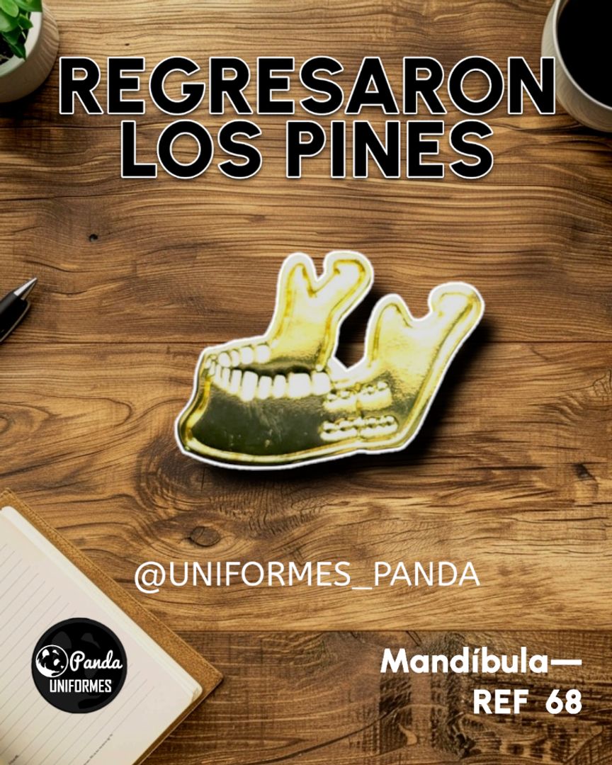  PIN MUELITA