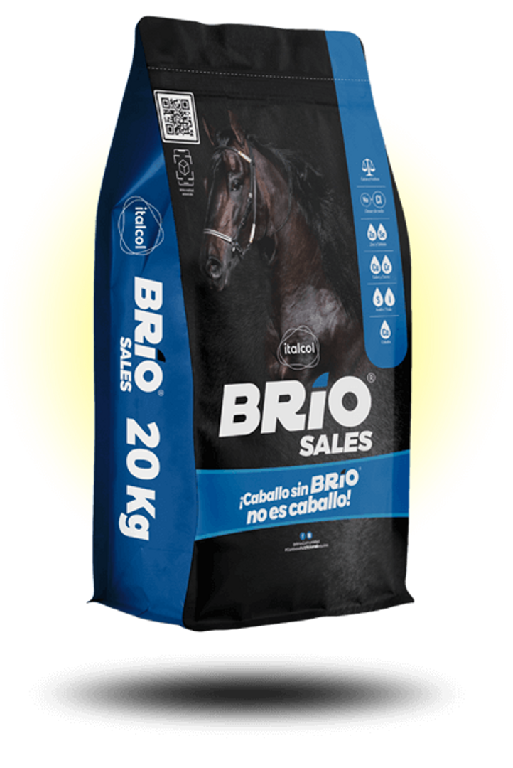 BRIO SALES X 20 KILOS