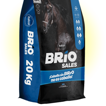 Imagen del producto BRIO SALES X 20 KILOS