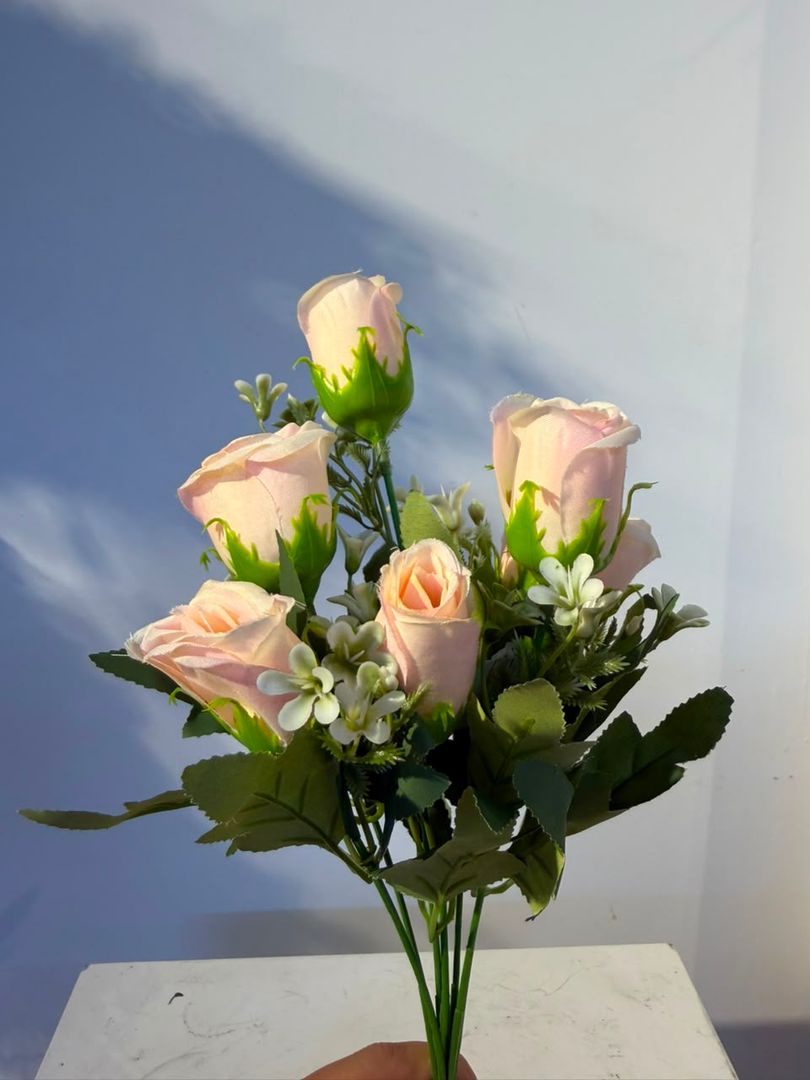 MINI ROSA CURUBA