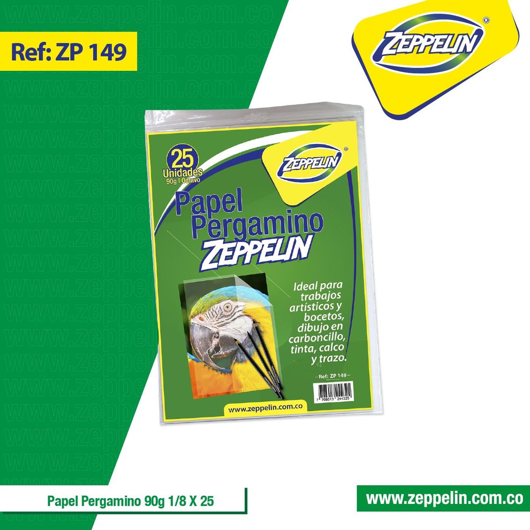 PAPEL PERGAMINO OCTAVO X10
