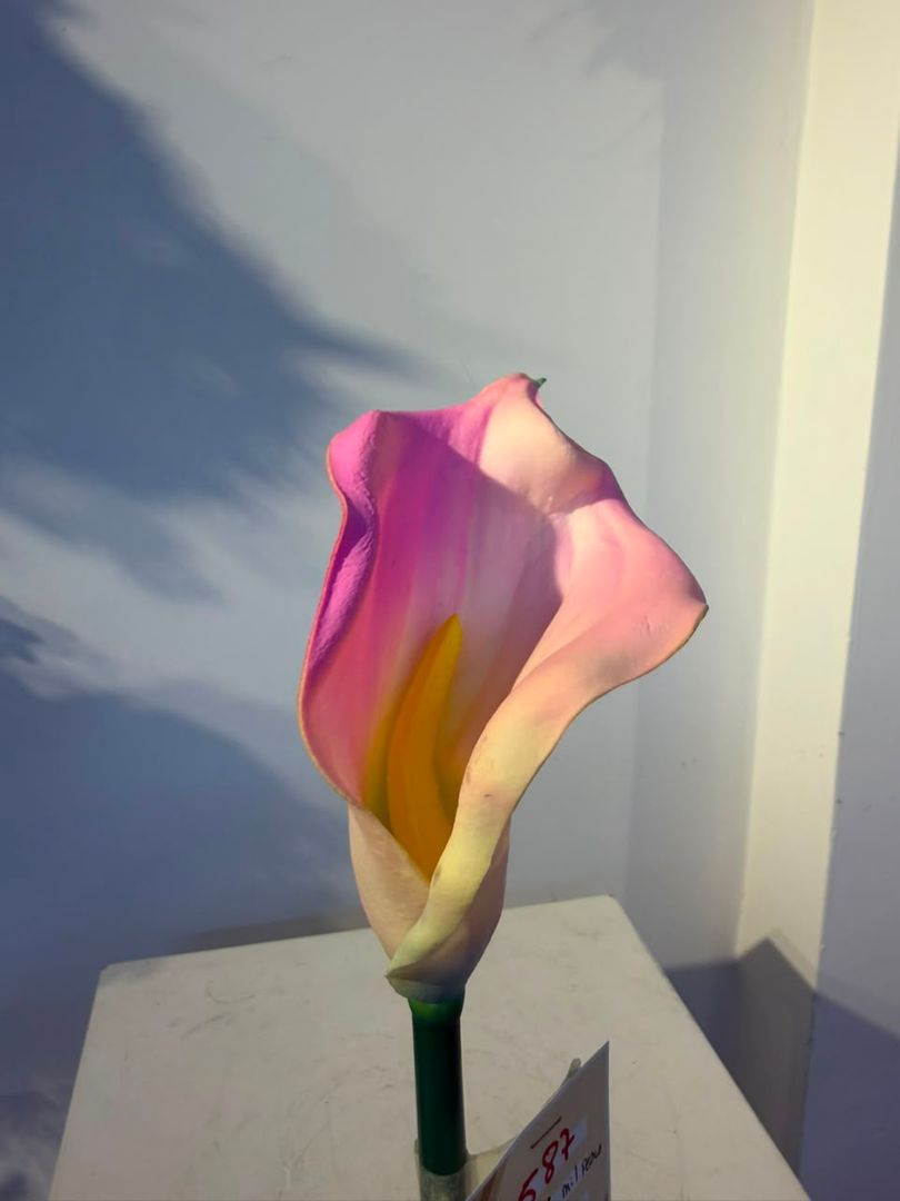 CARTUCHO EN ESPUMADO ROSADO
