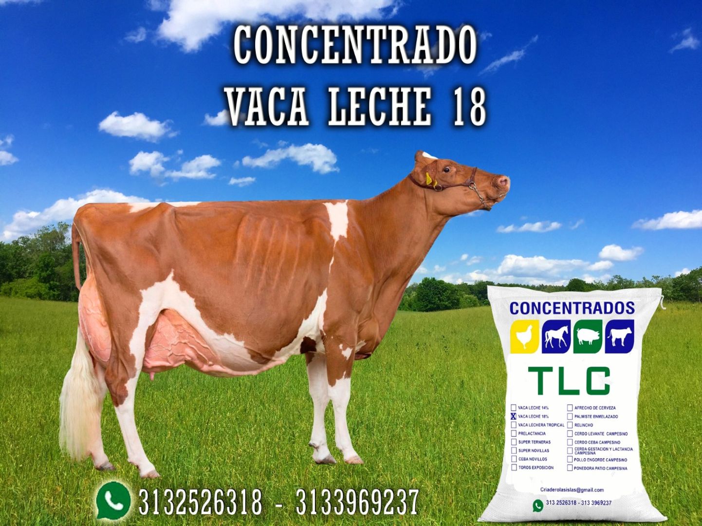 VACA LECHE 18 PELETIZADO TLC 40 Kilos