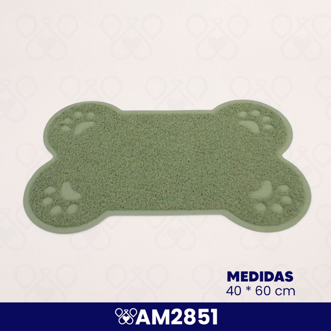 AM2851