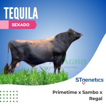 TEQUILA SEXADO - imagen 1