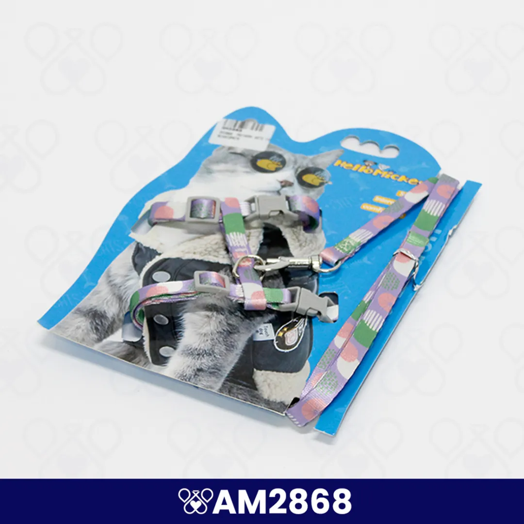 AM2868