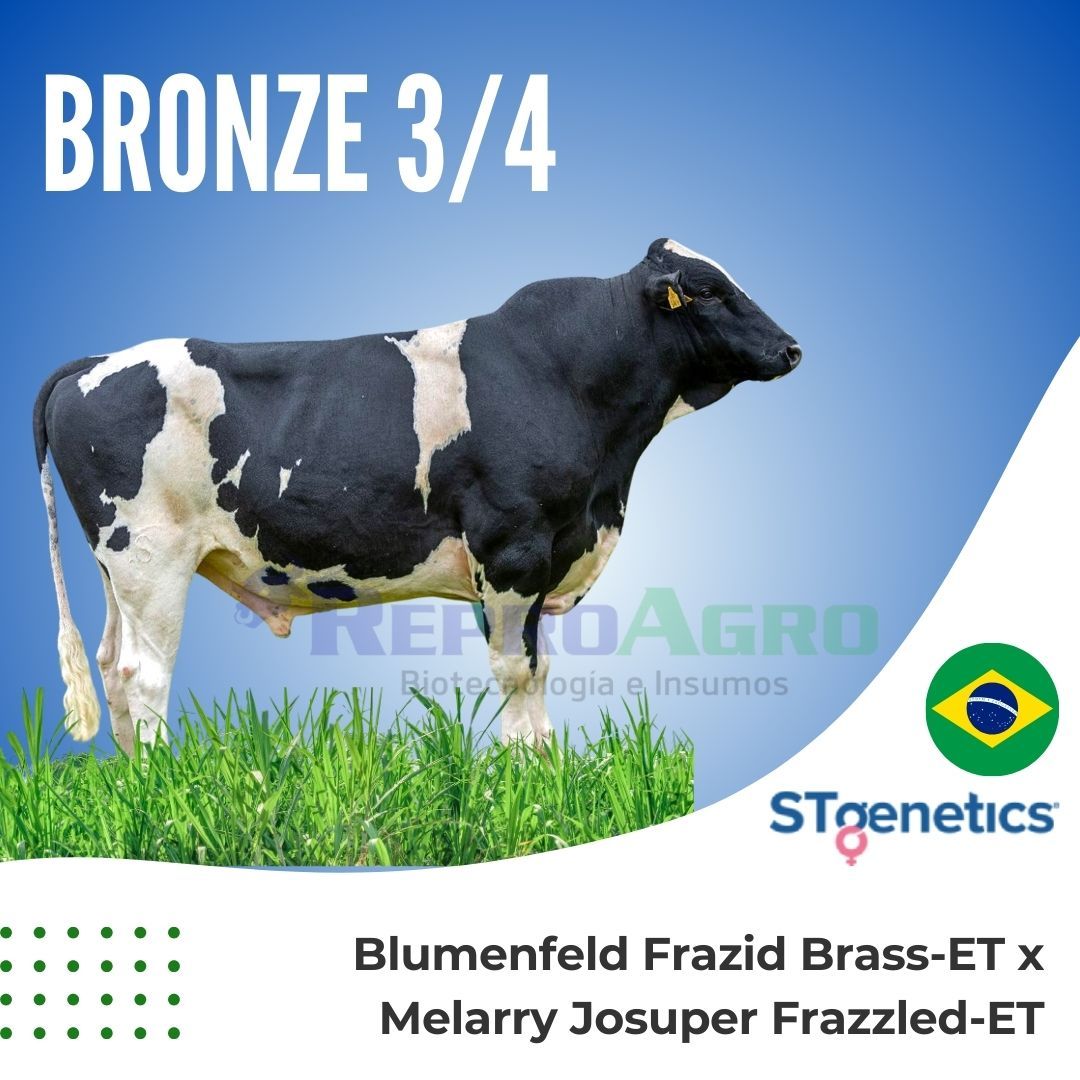  BRONZE