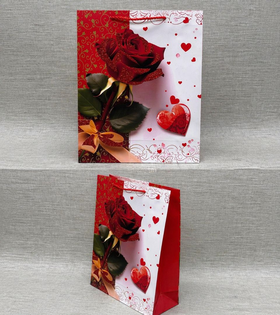 BOLSA DE REGALO SURTIDA 24X18 CM