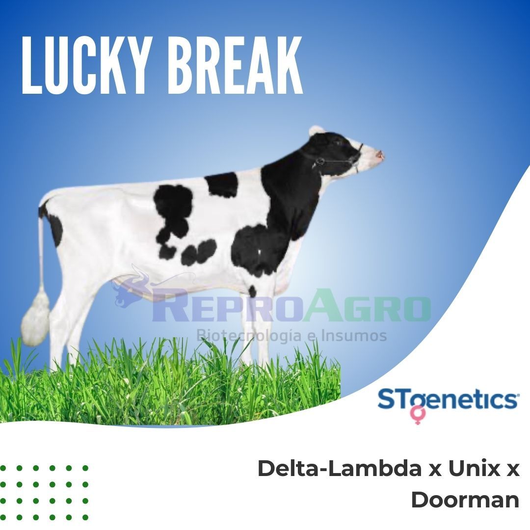 LUCKY BREAK