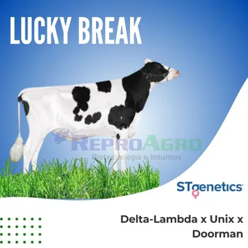LUCKY BREAK - imagen 1