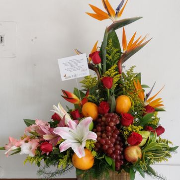 Imagen del producto L frutero