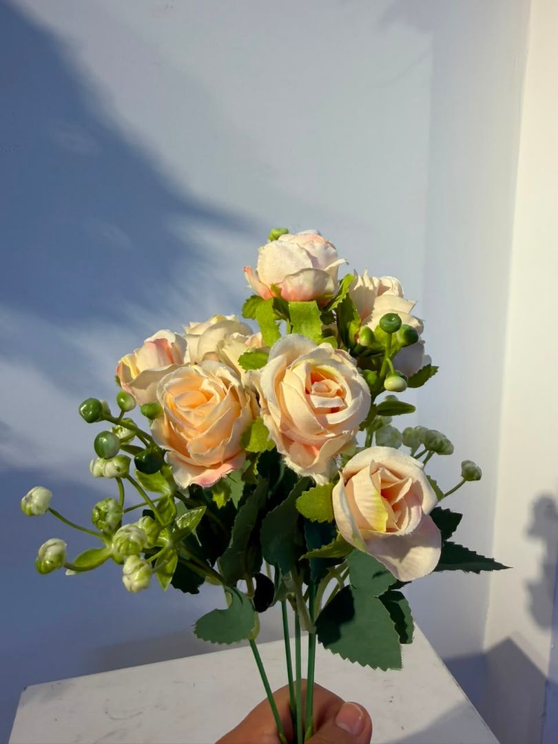 MINI ROSA X 5 CURUBA