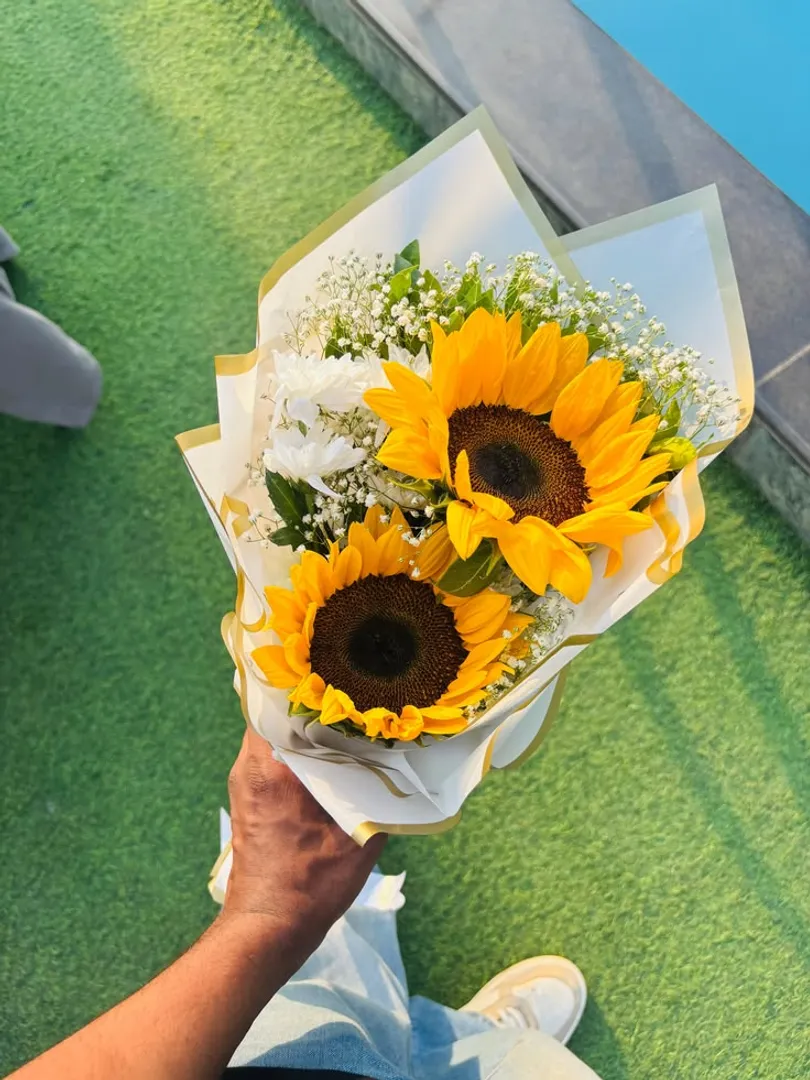 x2 girasoles
