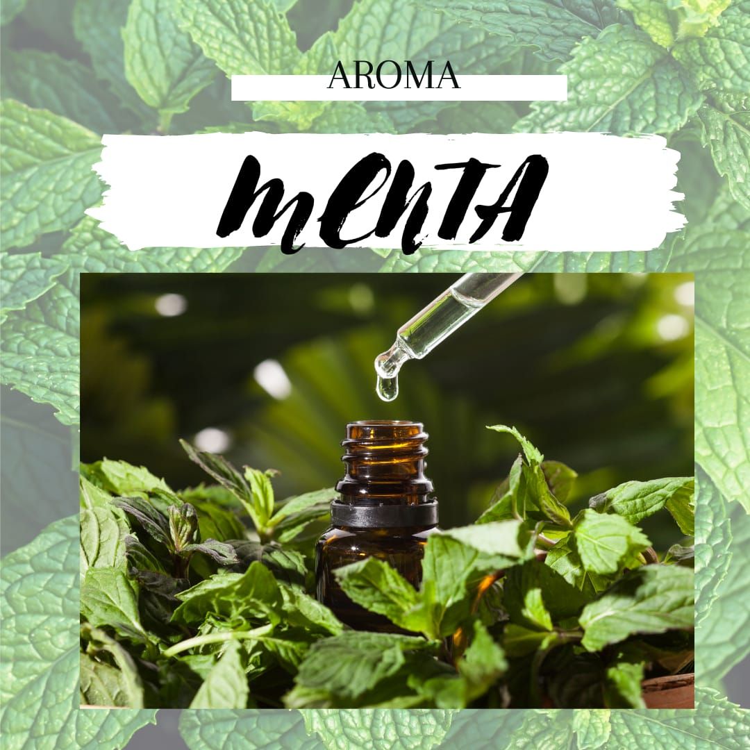 AROMA MENTA