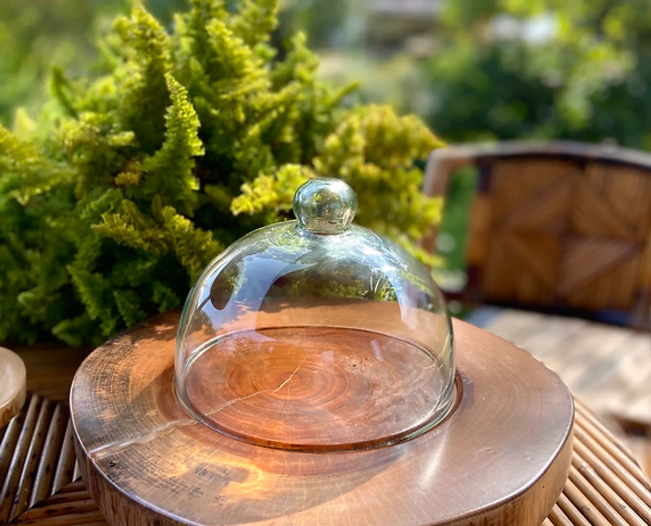 QUESERA BRIE CON BASE DE HIERRO