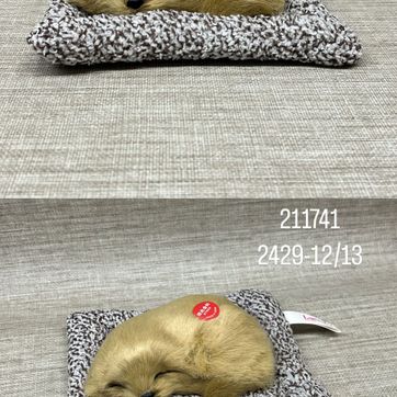 Imagen del producto PERRO ACOSTADO 