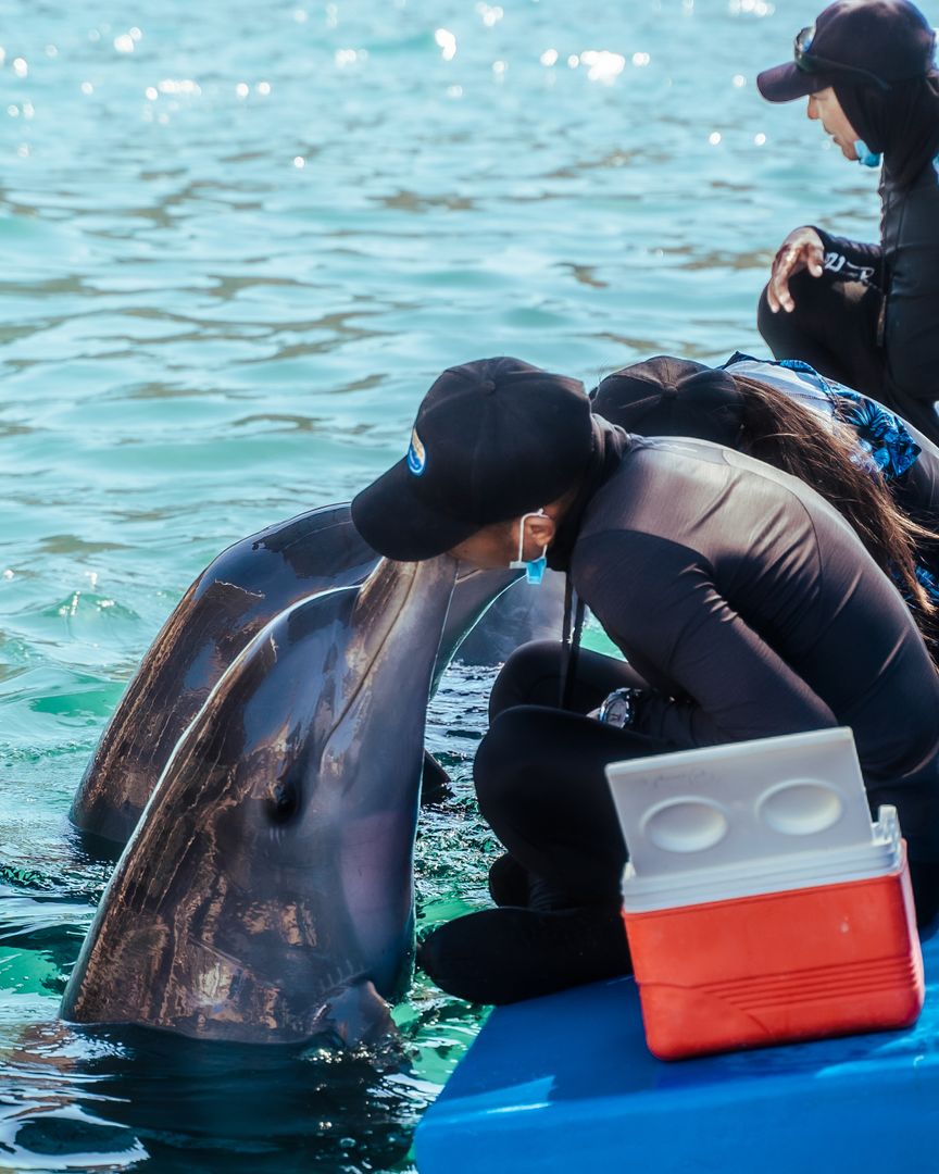 ACUARIO Y PLAYA BLANCA 