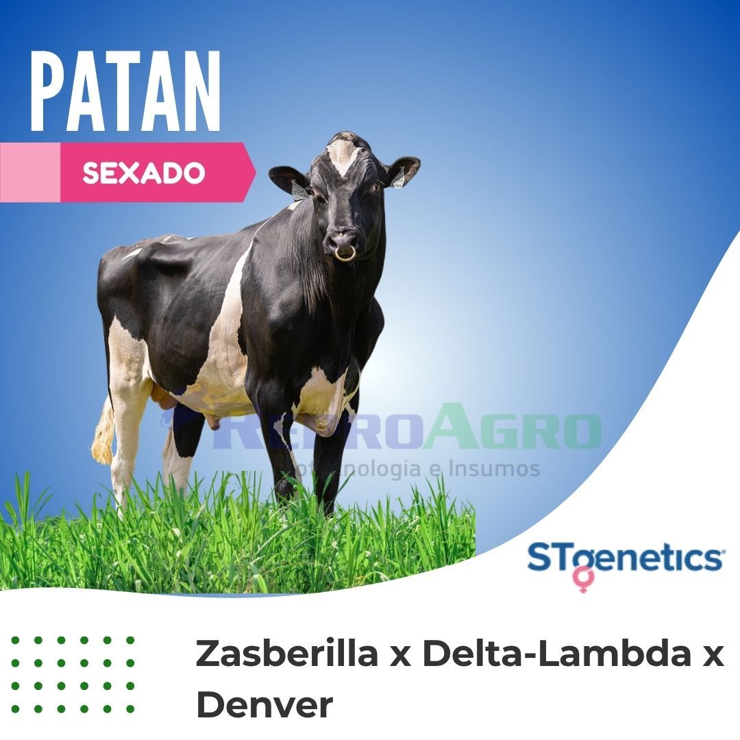 PATAN SEXADO