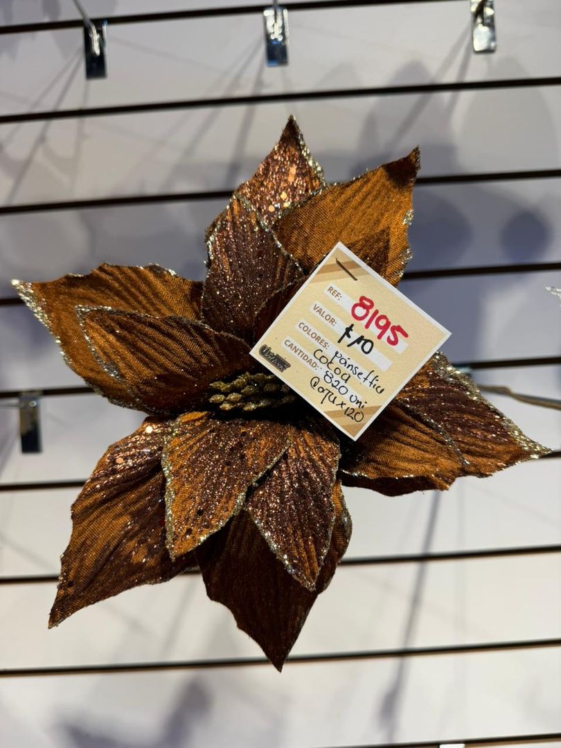 PONSETIA COCOA PANA