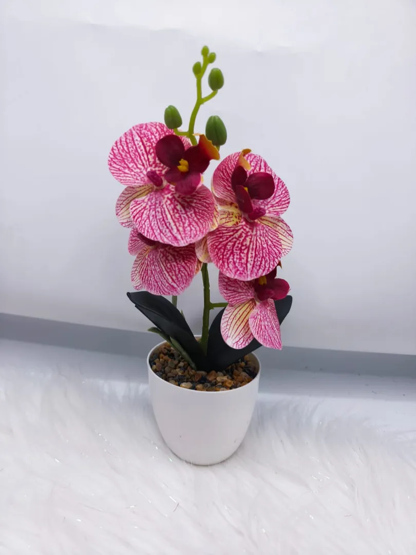 MATERO ORQUIDEA PM547