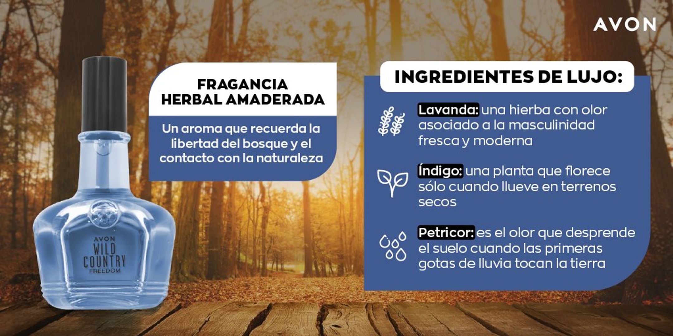 WILD COUNTY  FREEDOM 100 ml MASCULINO 