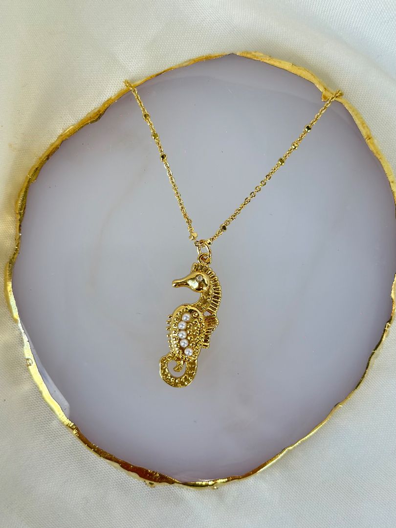 Cadena caballo de mar 