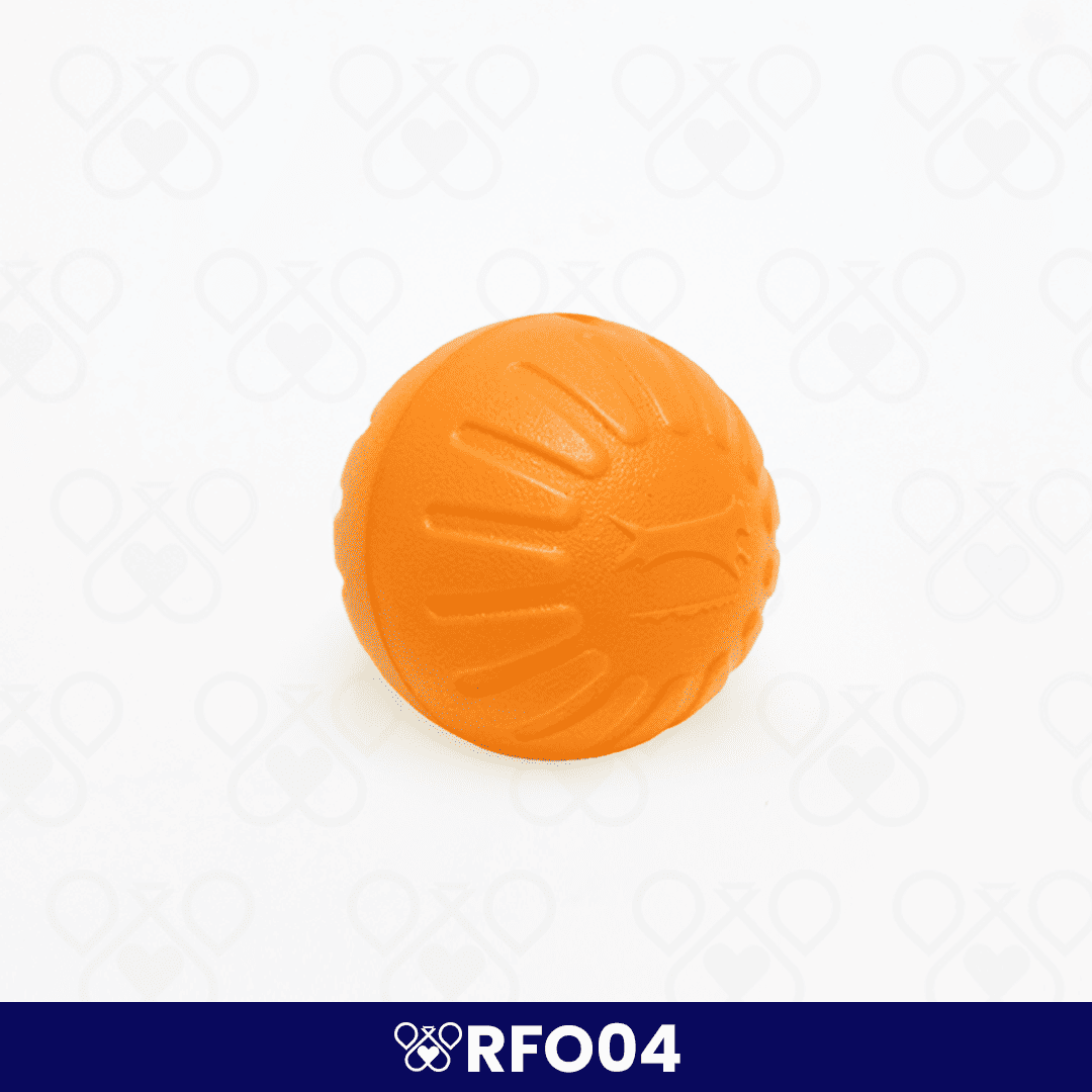 RFO04