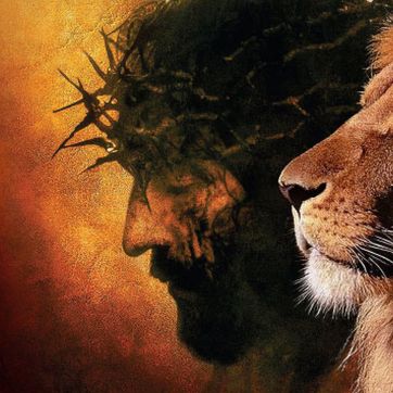 Imagen del producto FE Y RELIGION 015