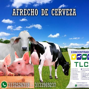 Imagen del producto AFRECHO DE CERVEZA x 40 Kilos