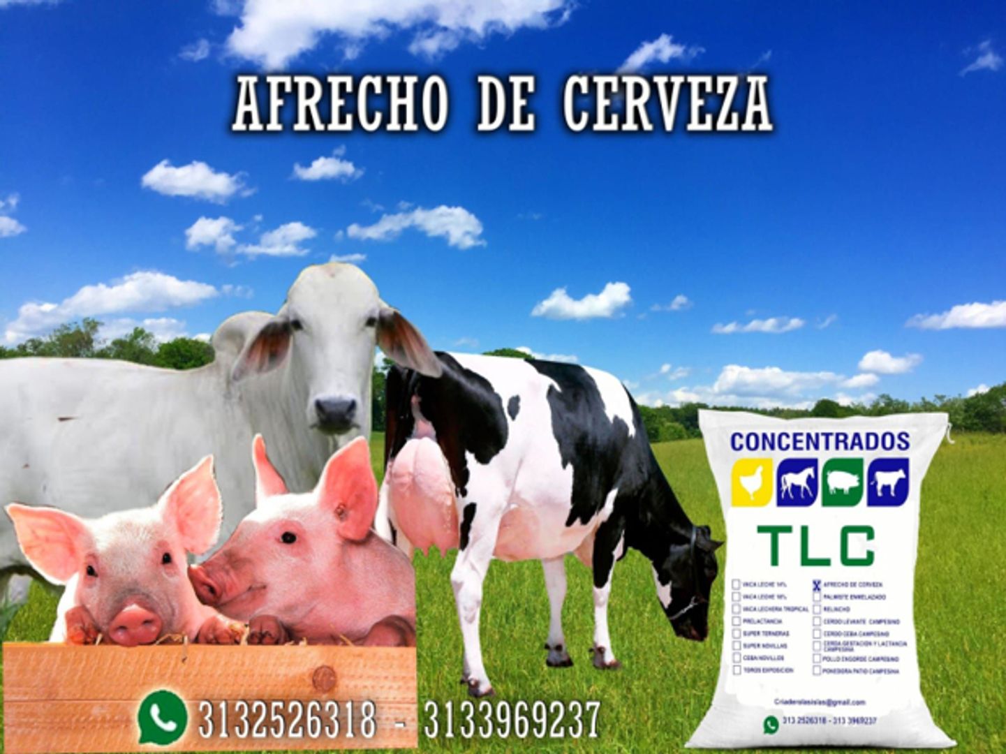 AFRECHO DE CERVEZA x 40 Kilos