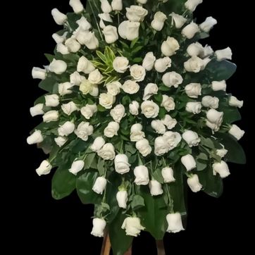 Imagen del producto Blanco intenso