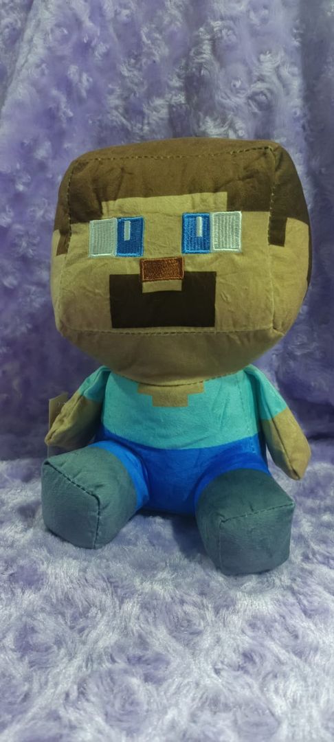 Stive Mine craft