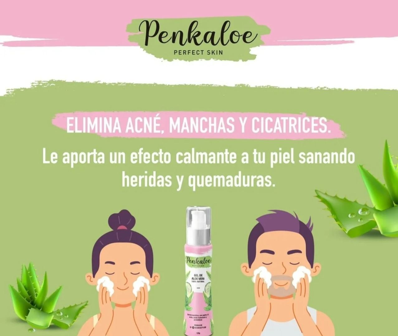 Gel de aloe Vera Penkaloe 