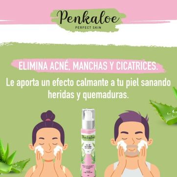 Gel de aloe Vera Penkaloe  - imagen 1