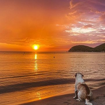 PLAYA DEL RITMO BEACH HOSTEL  - imagen 4