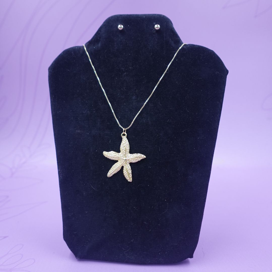 CADENA ESTRELLITA DE MAR + ARETA 