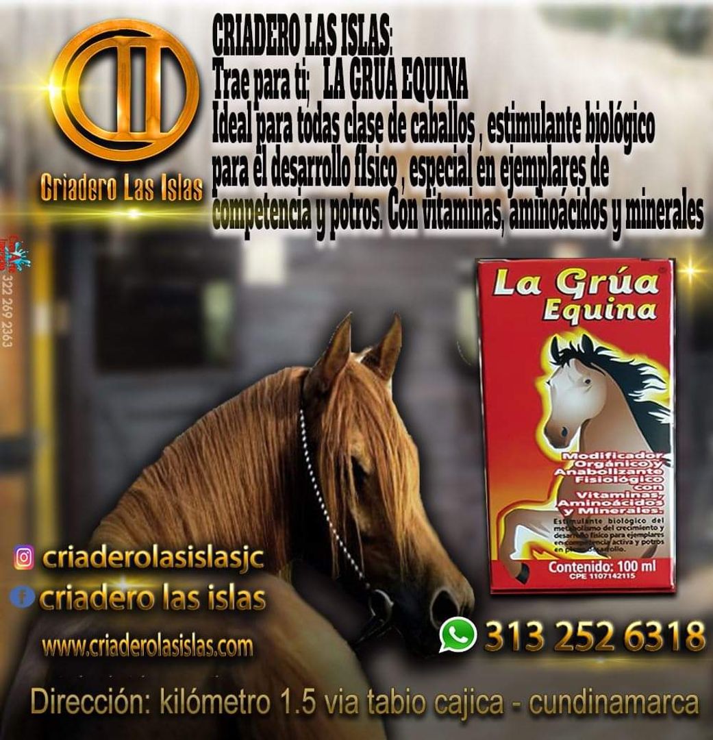 VITAMINICO GRUA EQUINA 100ML 