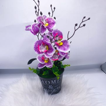 Matero orquídea  - imagen 1
