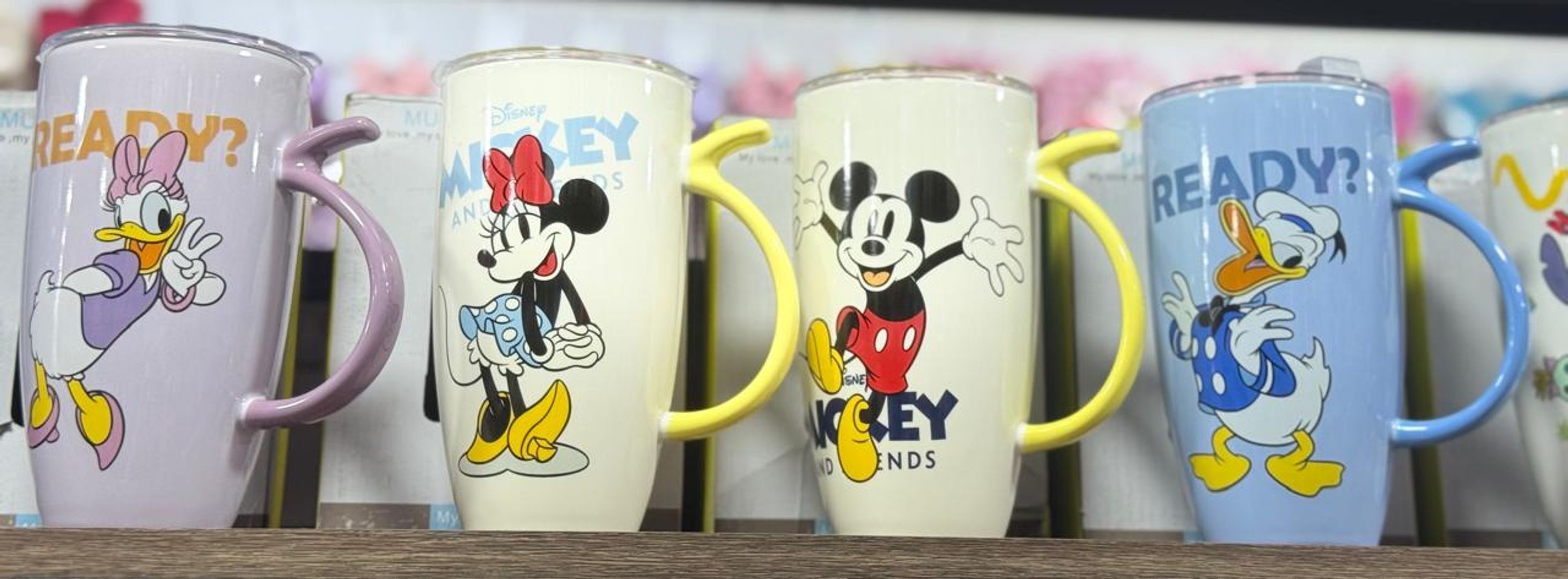 495 MICKEY 