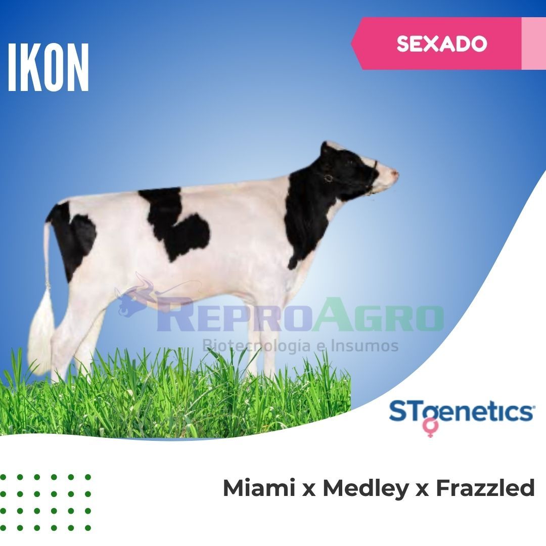 IKON SEXADO
