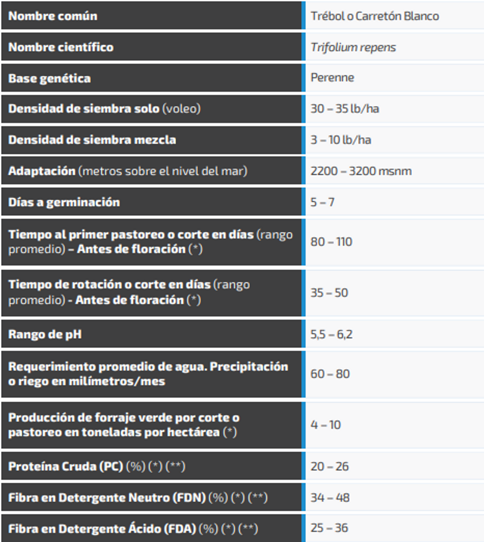 Carretón-Trébol Blanco Gigante x Libra