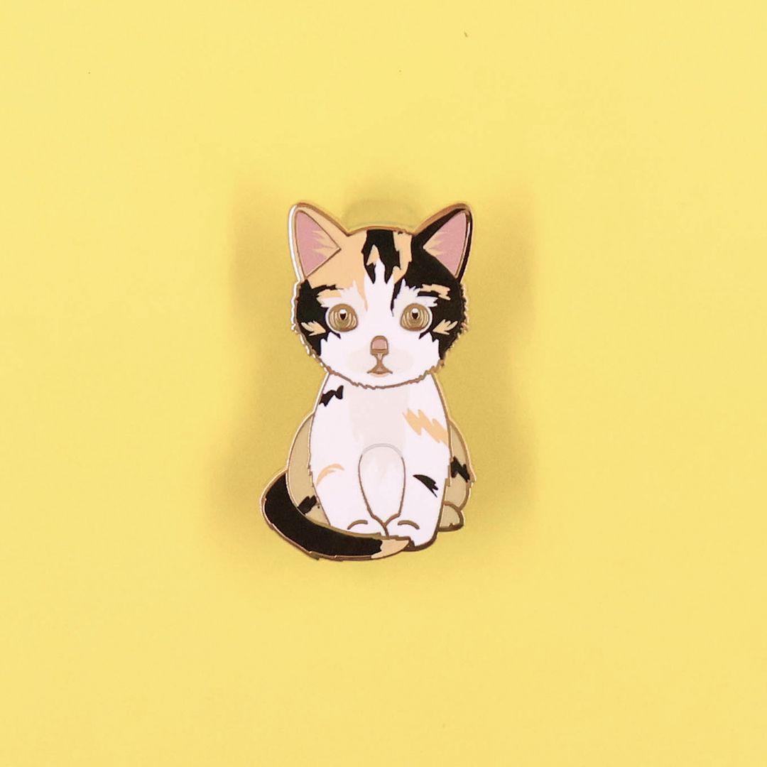 PIN GATO CALICÓ