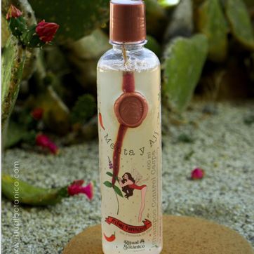 Imagen del producto Shampoo Control Caspa Menta y Aji RITUAL BOTANICO 