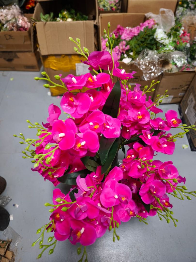 ARBOL ORQUIDEA RS/181