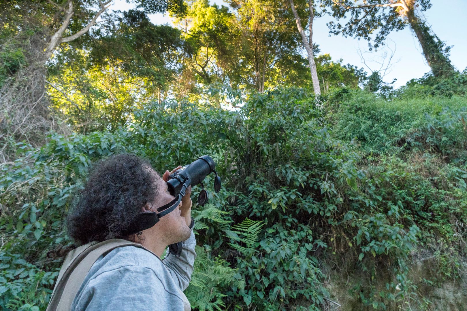 Avistamiento de Aves / Bird watching 